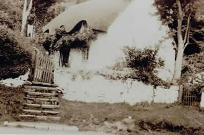 image1.JPG
